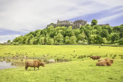 Stirling Castle