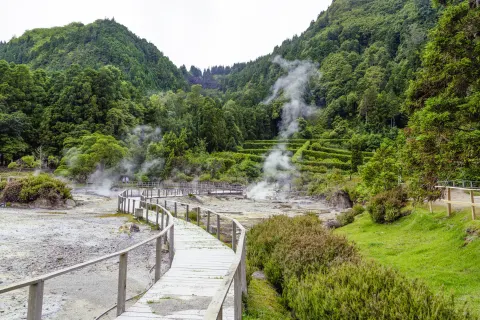 Furnas