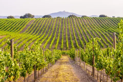 Alentejo