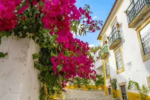 Óbidos