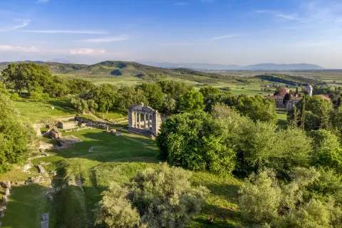 Apollonia