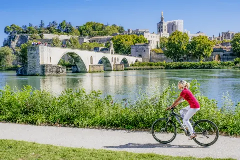 Avignon