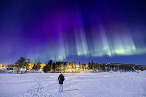 Nordlichter