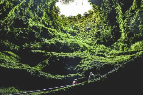 Algar do Carvão