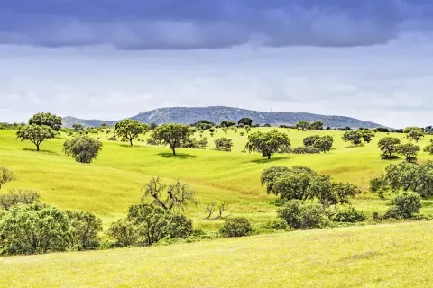 Alentejo