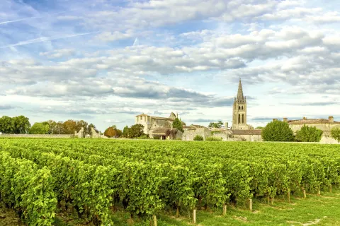 Weinberge von Saint Emilion