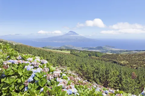 Faial, Blick auf Pico