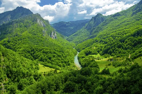 Tara Schlucht