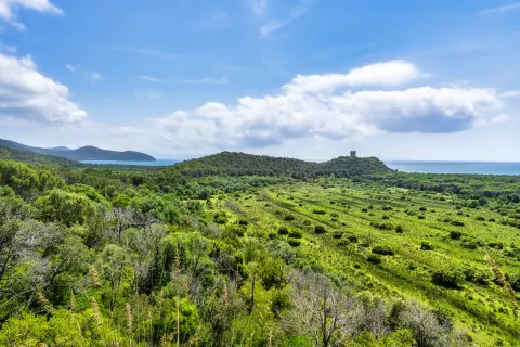 Maremma, Toskana