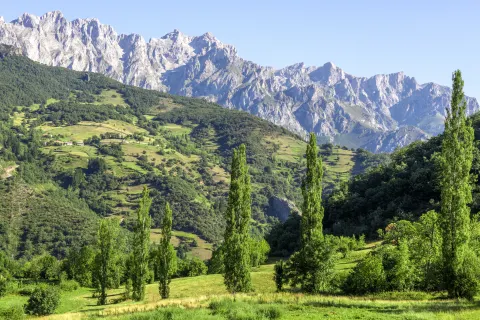 Picos de Europa