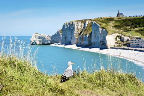 Etretat