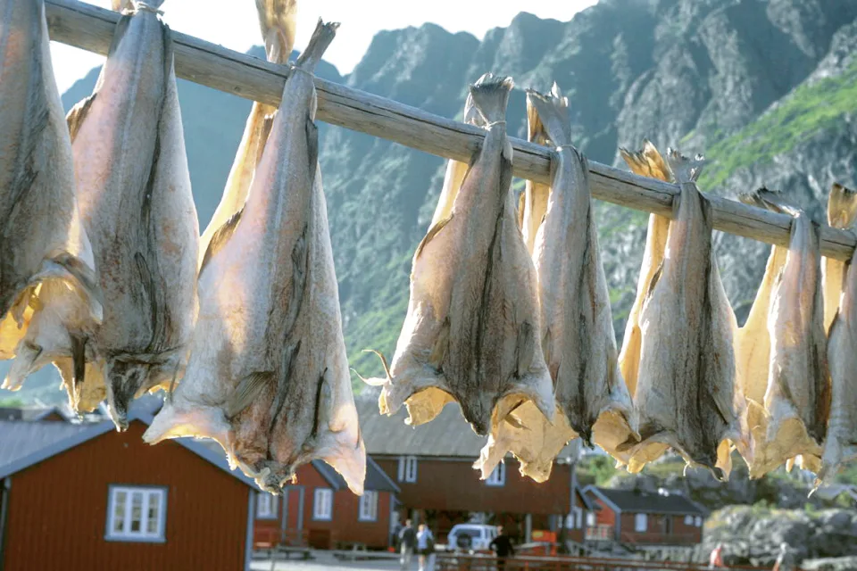 Stockfisch