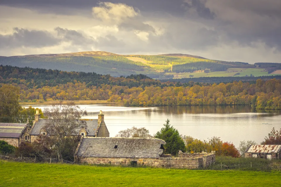 Muir of Dinnet