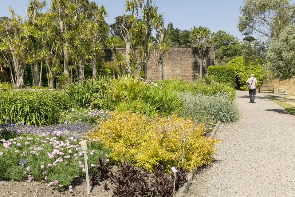 Logan Botanic Garden
