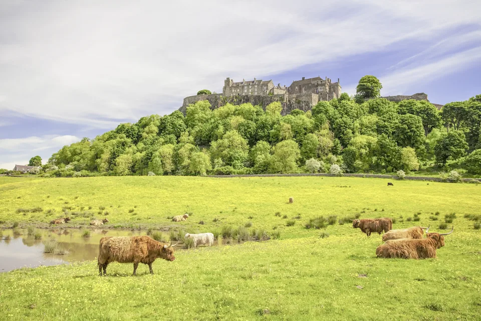 Stirling Castle