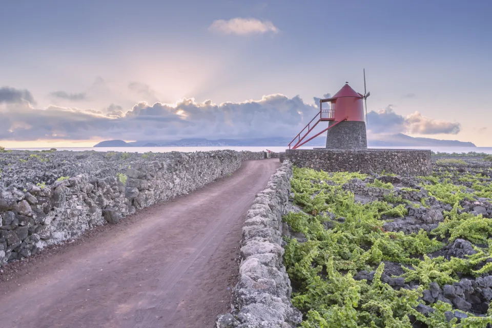 Windmühle, Pico
