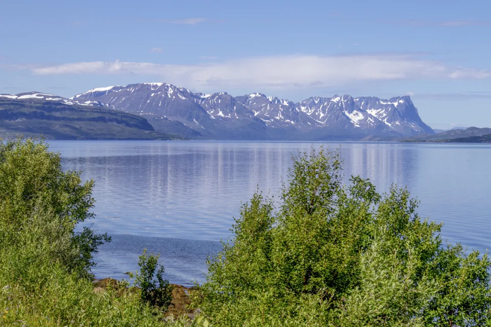 Lyngenfjord