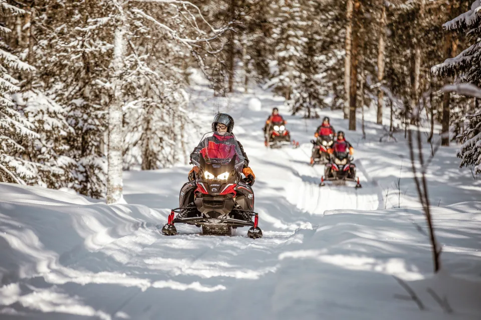 Arctic Giant Motorschlitten
