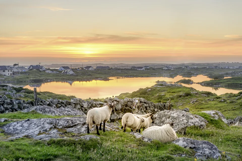 Connemara