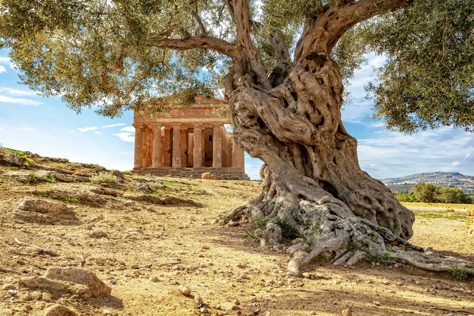 Tal der Tempel