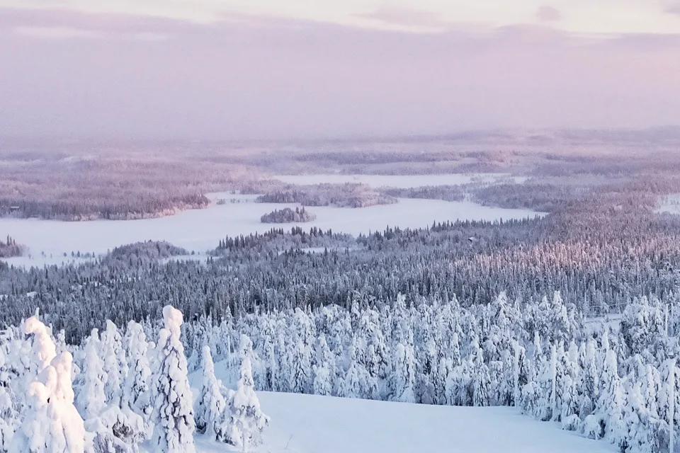 Ruka