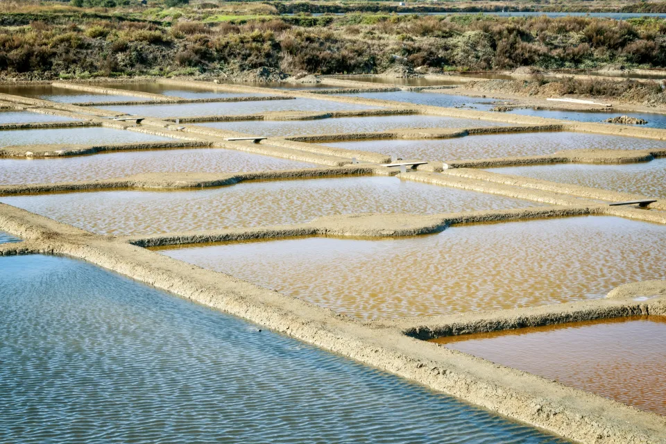 Salzgärten, Guerande
