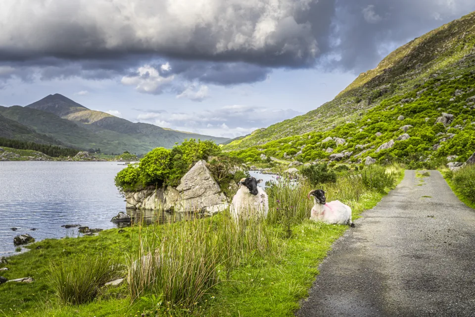 Ring of Kerry