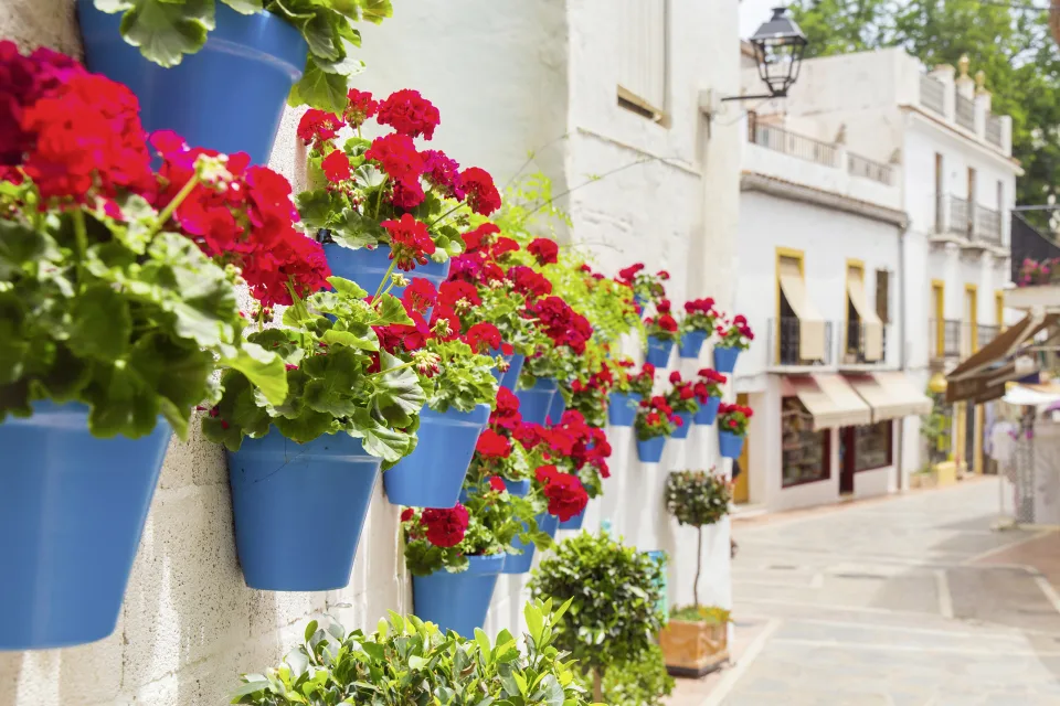 Marbella