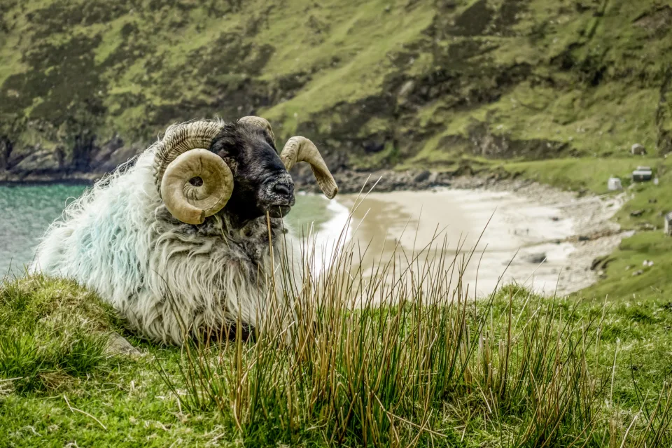 Achill Island