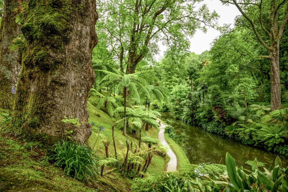 Terra Nostra Park