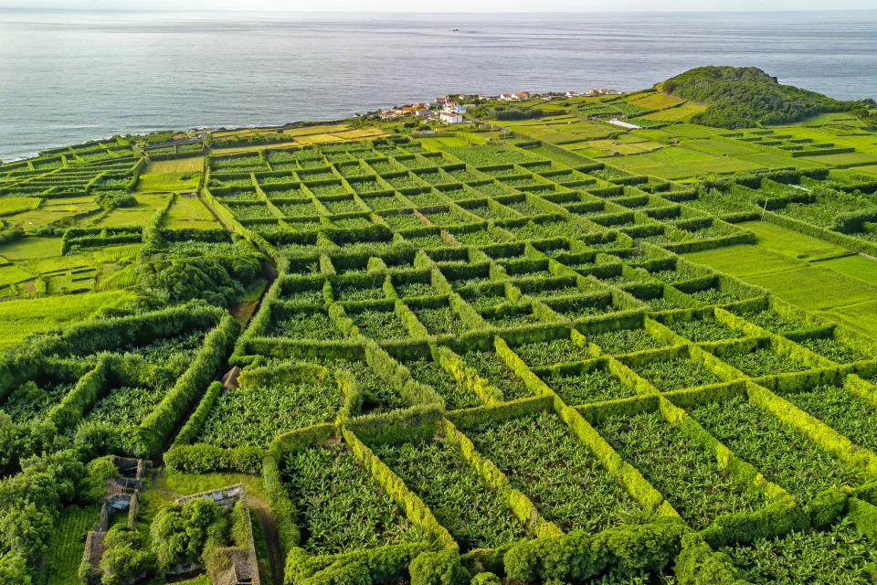 Bananenplantage, Terceira