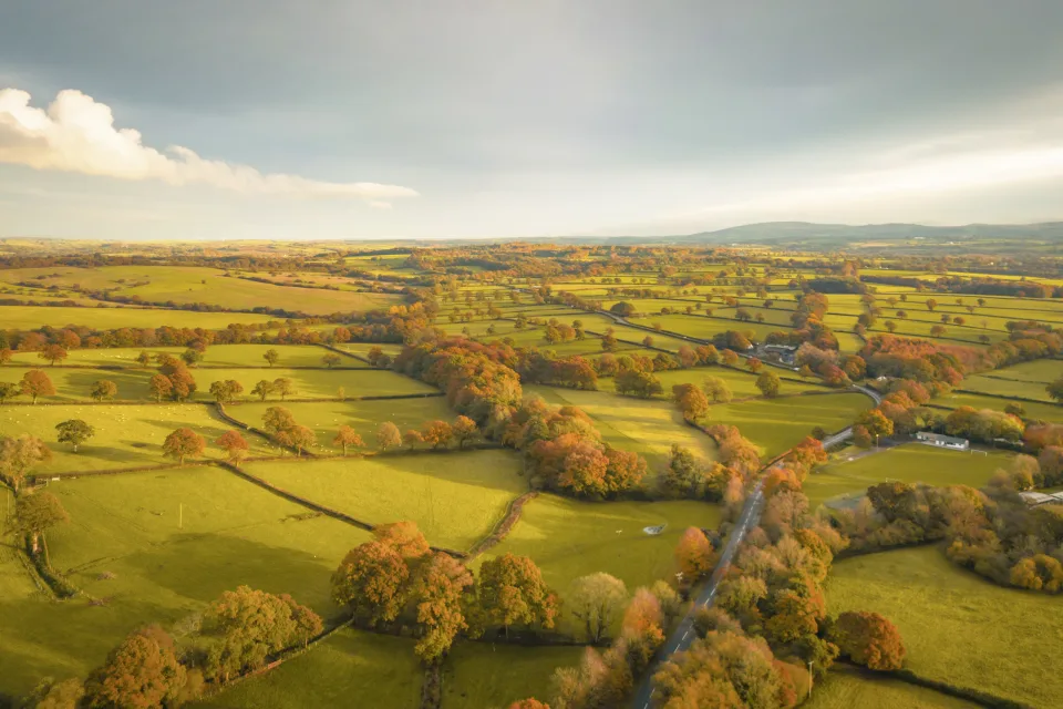 Dartmoor Nationalpark