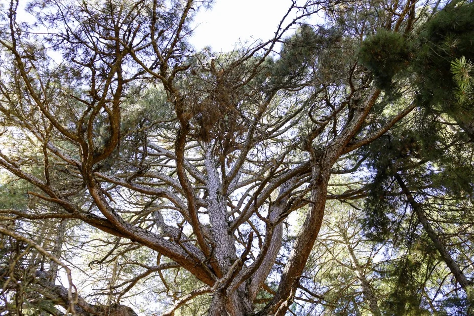 Sierras de Cazorla Nationalpark