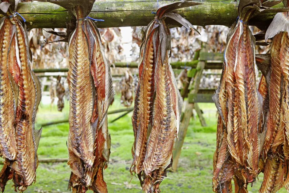 Stockfisch