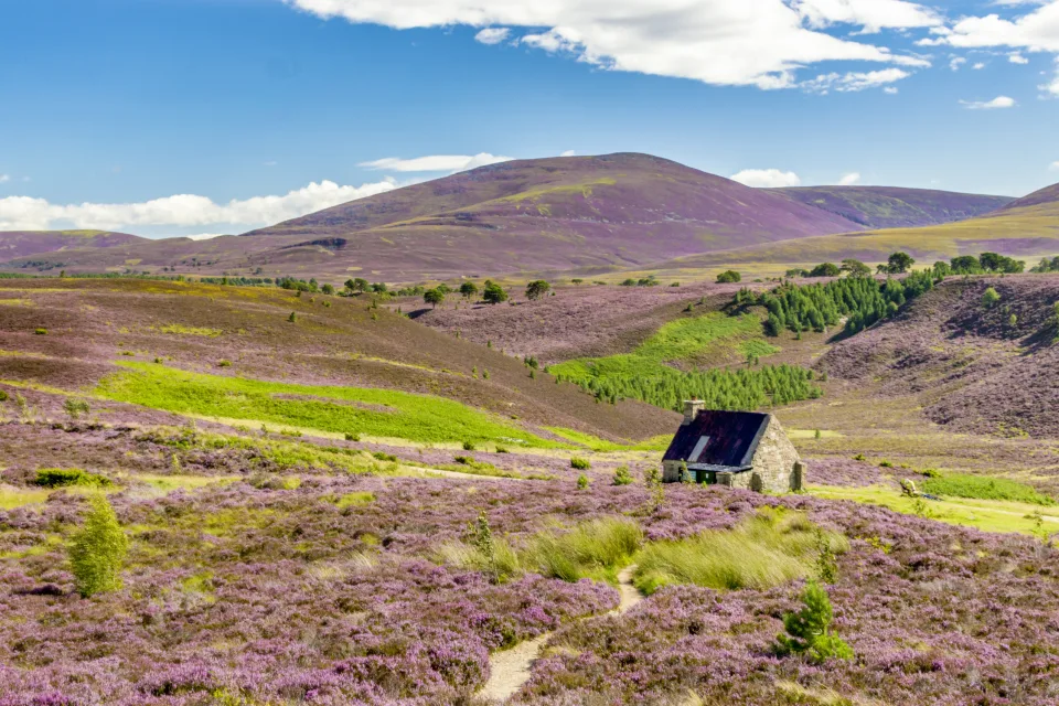 Cairngorms Nationalpark