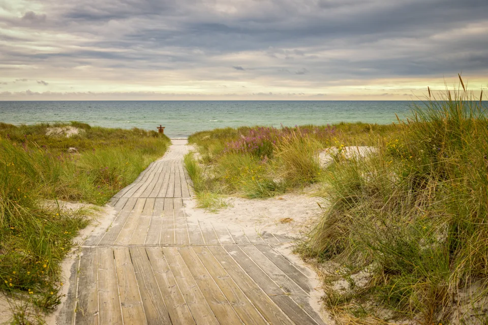 Sandhammaren