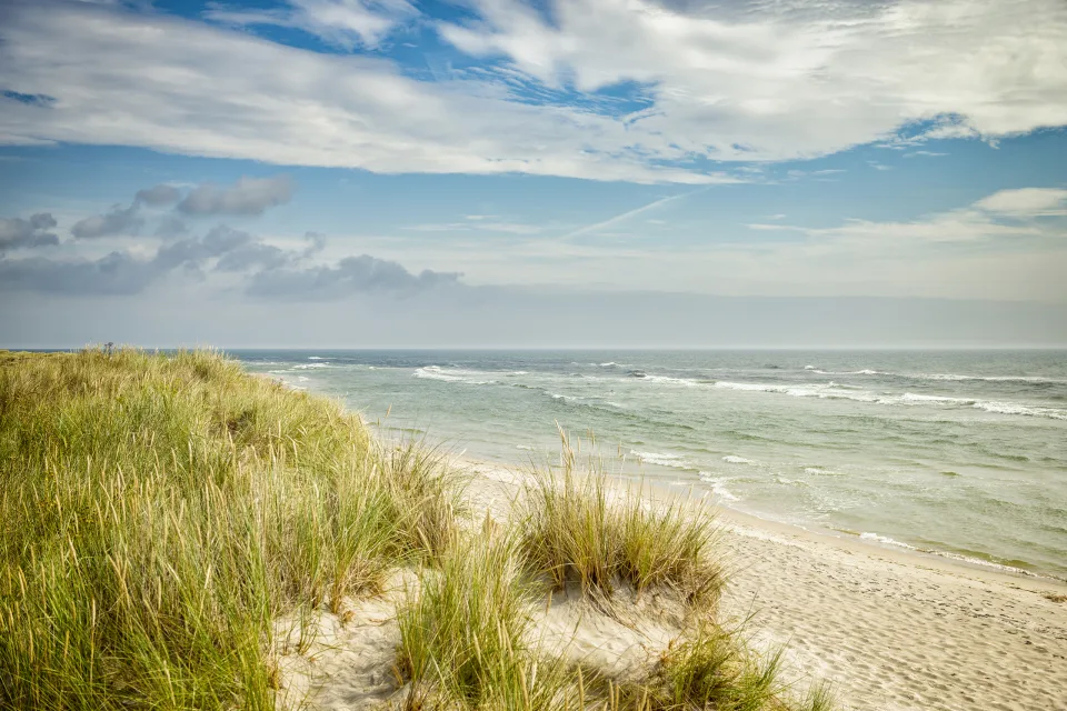 Sandhammaren