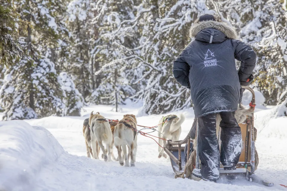 Huskysafari