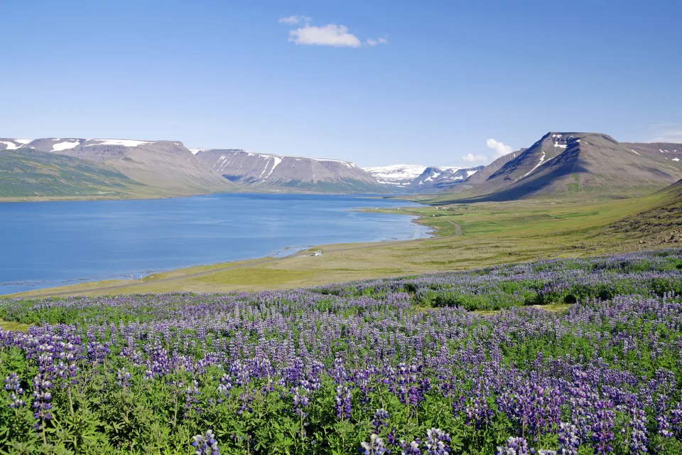 Westfjorde