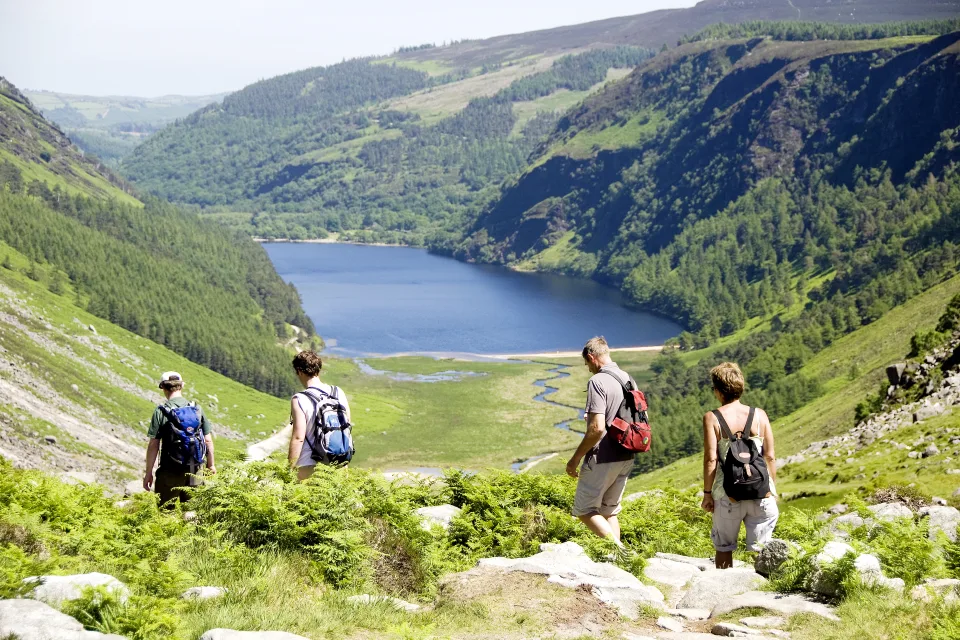 Wicklow