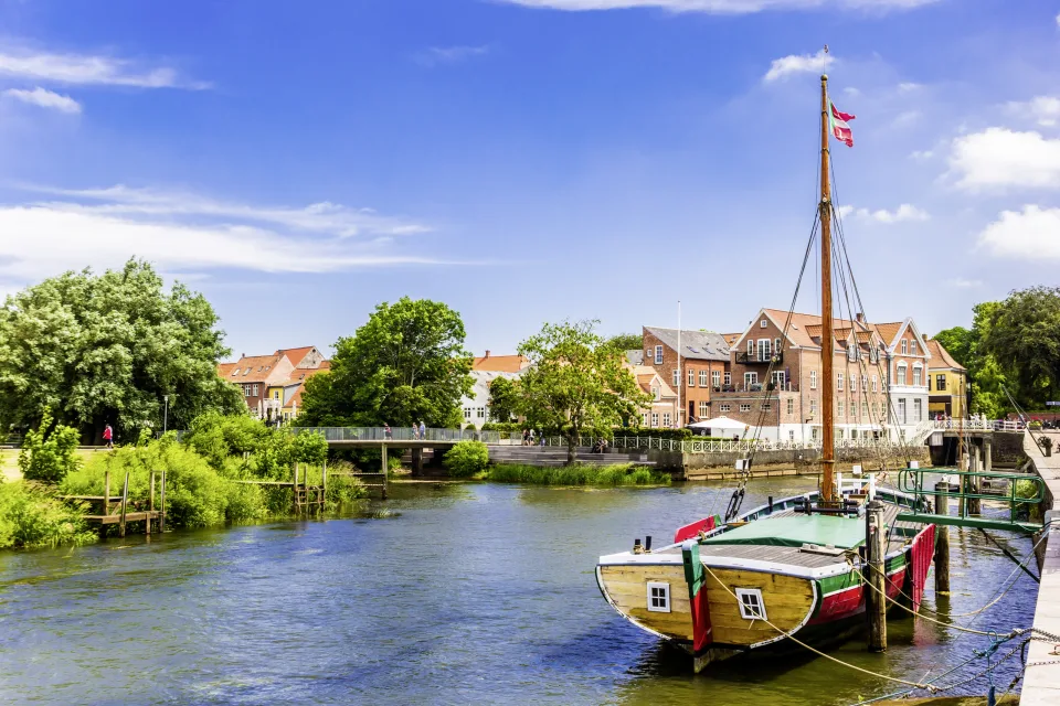 Ribe