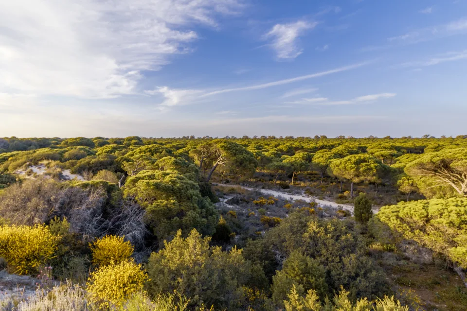 Nationalpark Doñana
