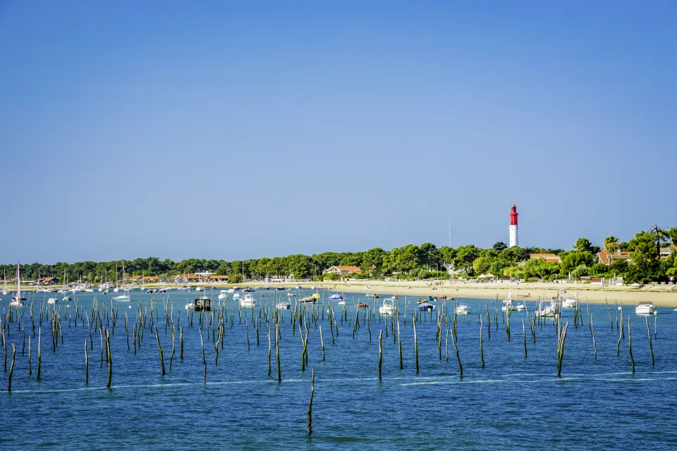 Cap Ferret
