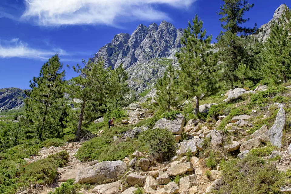 Restonica Tal