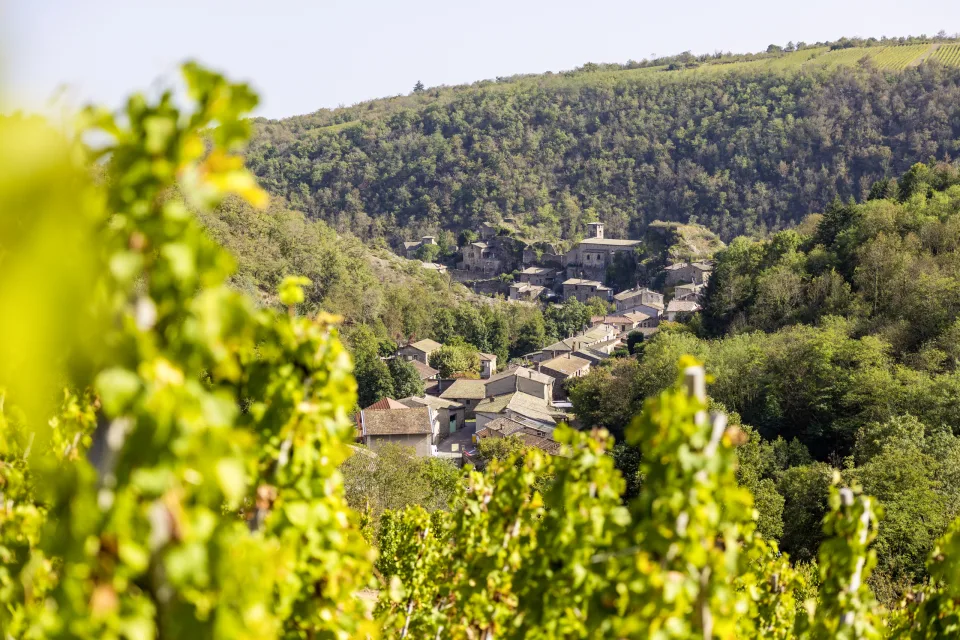 Côtes du Rhône
