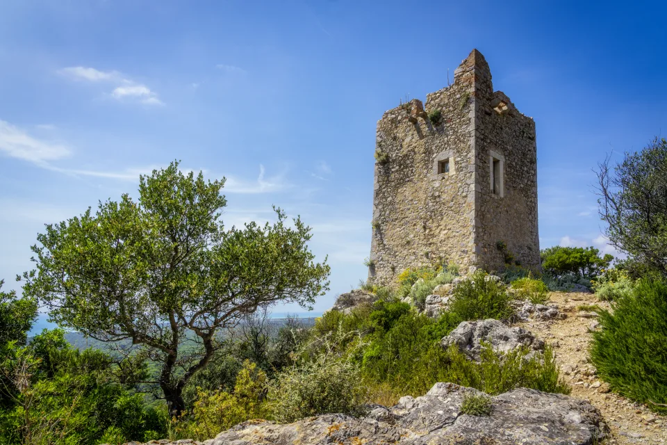 Maremma