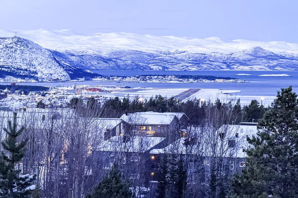 Alta