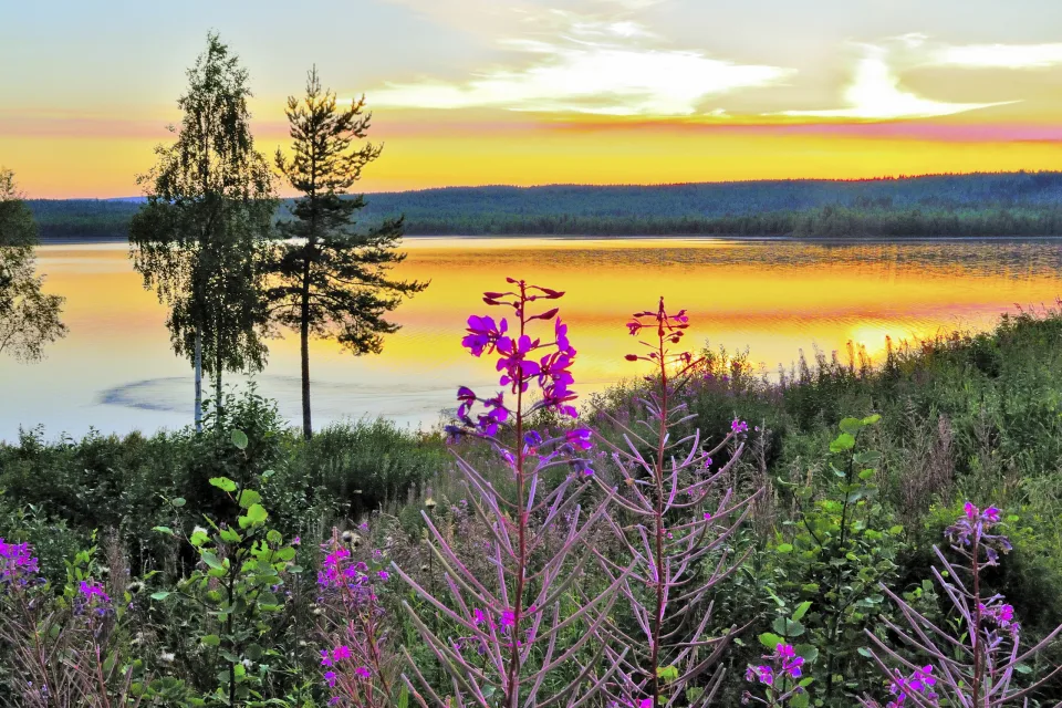 Schwedisch Lappland