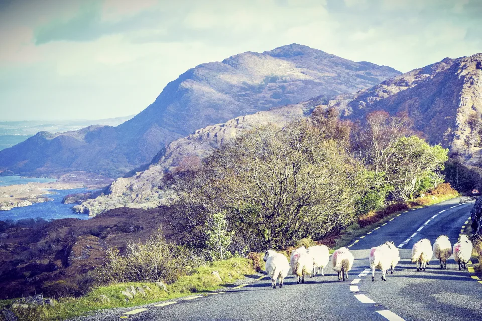 Ring of Kerry
