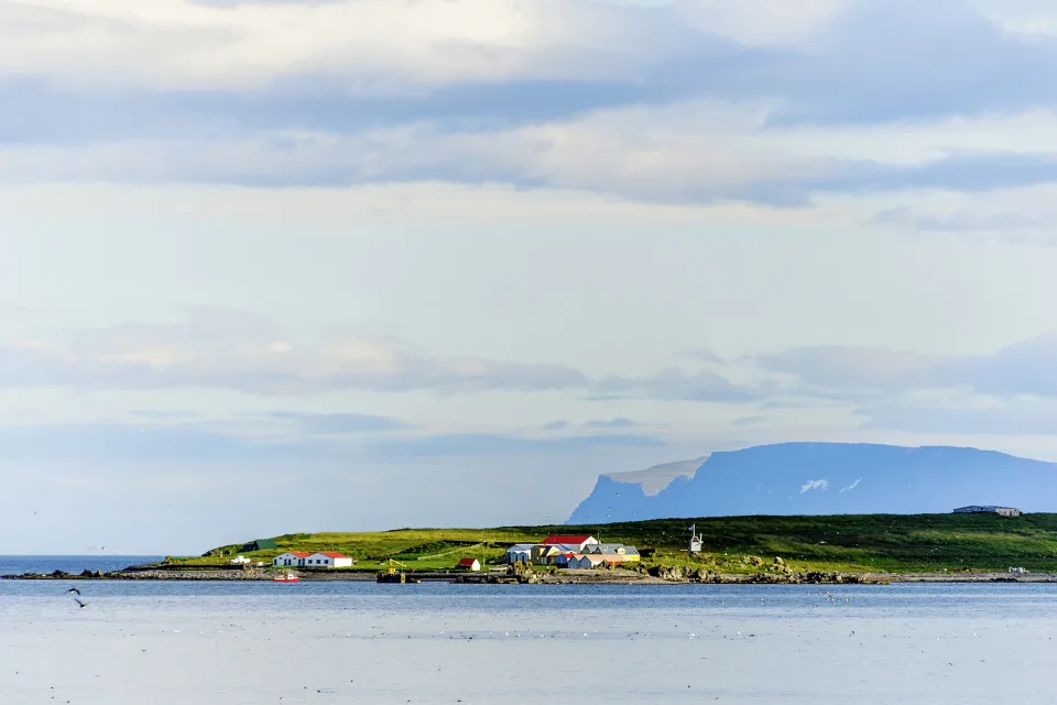 Vigur Insel